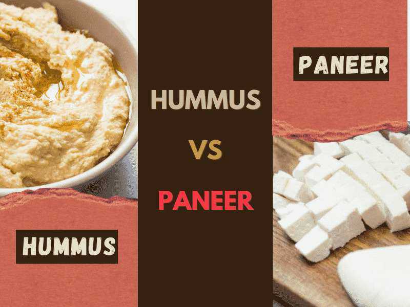 Paneer vs Hummus