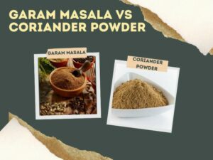 garam masala vs coriander powder